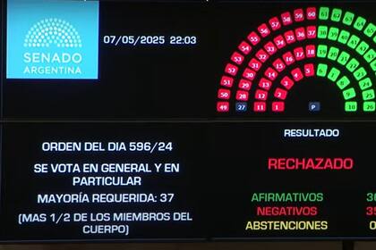 El Senado rechazó el proyecto de Ficha Limpia