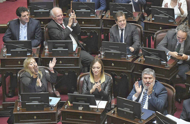 Mayans celebró que el PJ lograra frenar la proscripción de Cristina Fernández de Kirchner