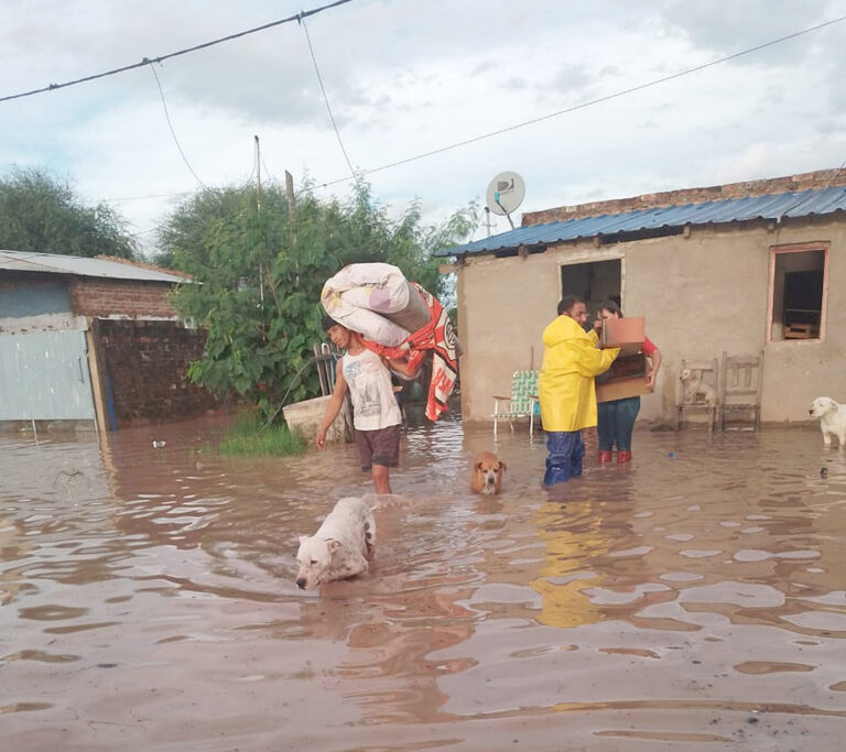 Palo Santo: Hace 40 años que no vivíamos algo así, afirmó una vecina