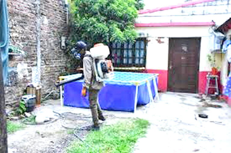 Dengue: los casos se mantienen estables esta semana, sin grandes variaciones