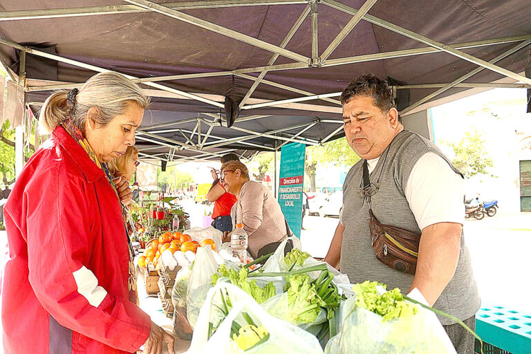 Continúa esta semana la venta de bolsones saludables