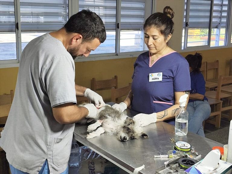 La clínica móvil para mascotas desplegó servicios gratuitos en Pozo Mortero