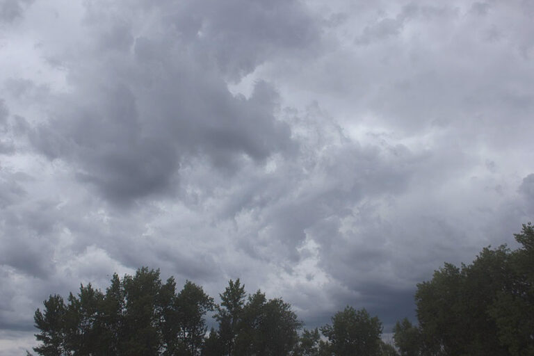 Se viene un brusco descenso de temperatura: alertan por lluvias y tormentas desde el martes
