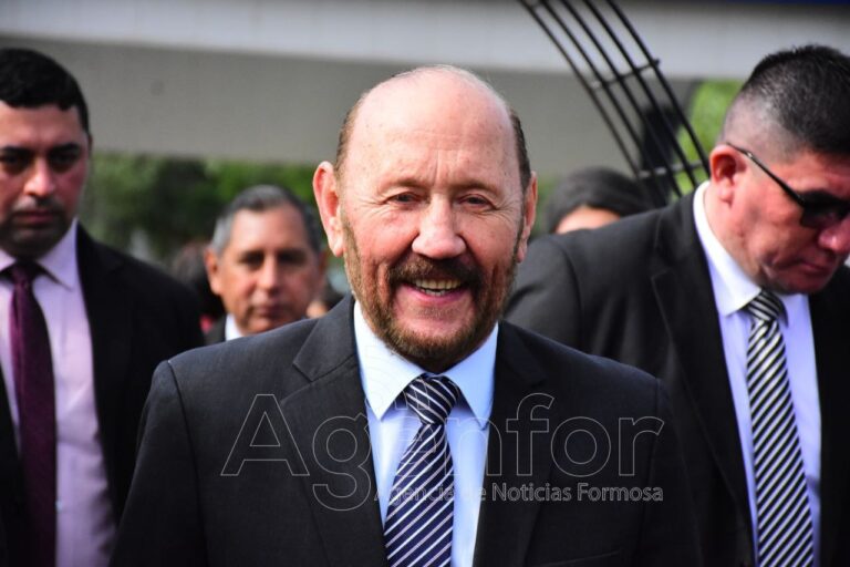 El gobernador Insfrán pidió votar boleta azul completa en las elecciones del 29 de junio