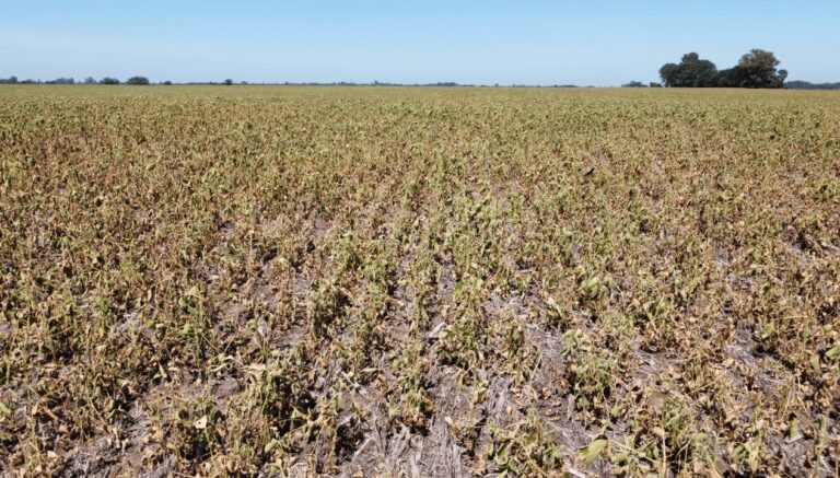 El invierno podría ser más cálido de lo habitual en el norte y este del país