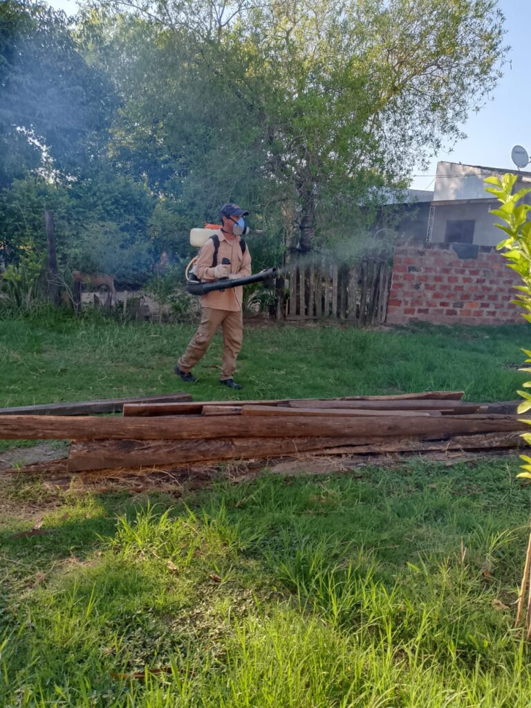 Un leve descenso en los casos de dengue fue reportado en el cierre de esta semana