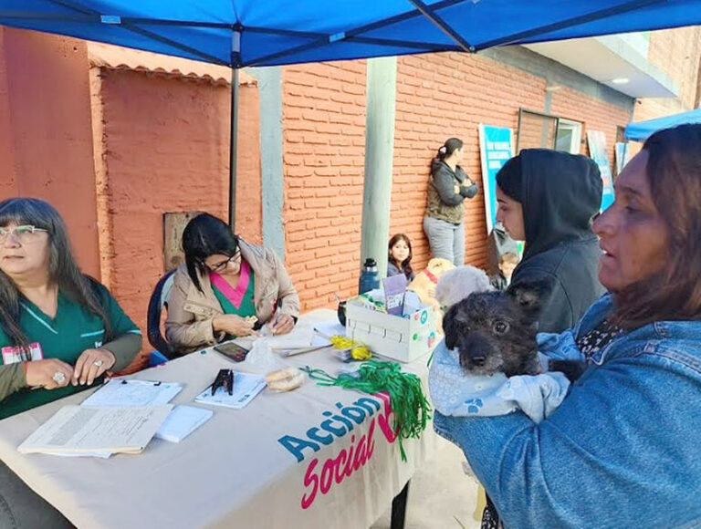 Más de 700 animales fueron atendidos por Zoonosis en la última semana
