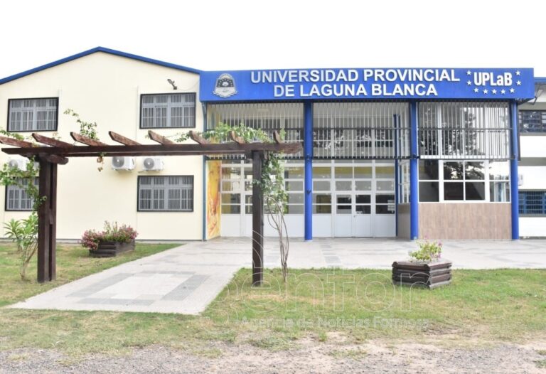 Comparación: Salarios Docentes Universitarios Nacionales y Provinciales
