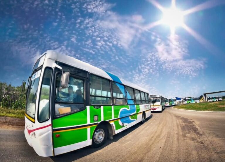 El transporte público Fermoza cumple un año en la ciudad