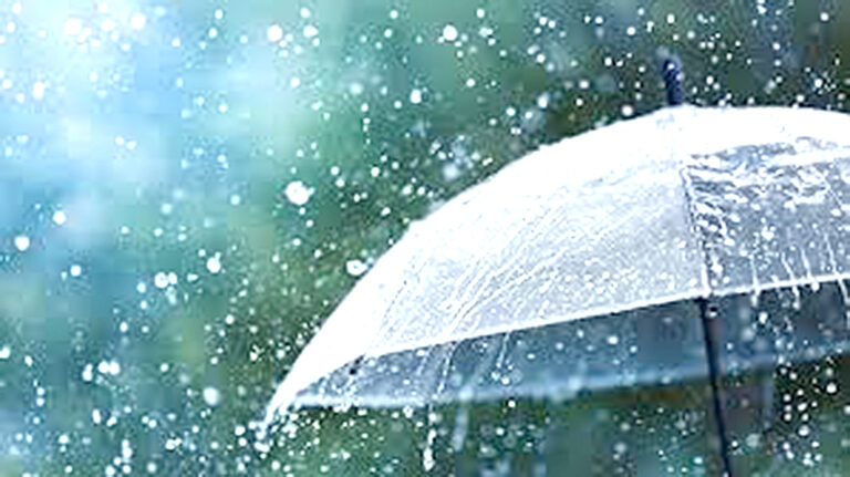 Alerta por tormentas y una semana marcada por lluvias y clima fresco