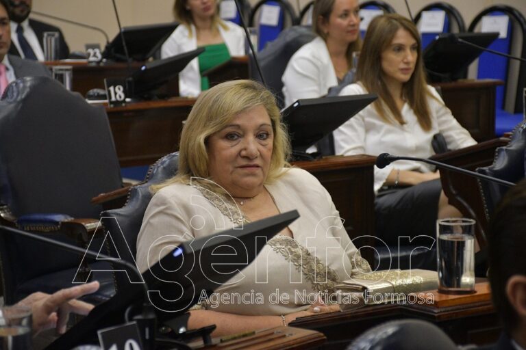 Santillán: En Formosa hay equidad territorial e igualdad de oportunidades con justicia social
