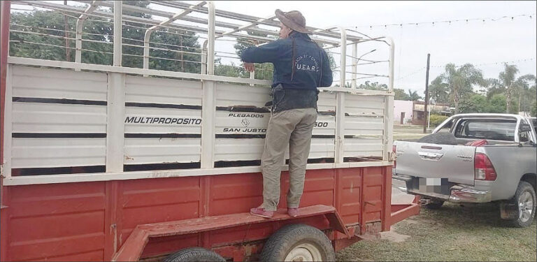 Secuestraron animales trasladados sin documentaciones