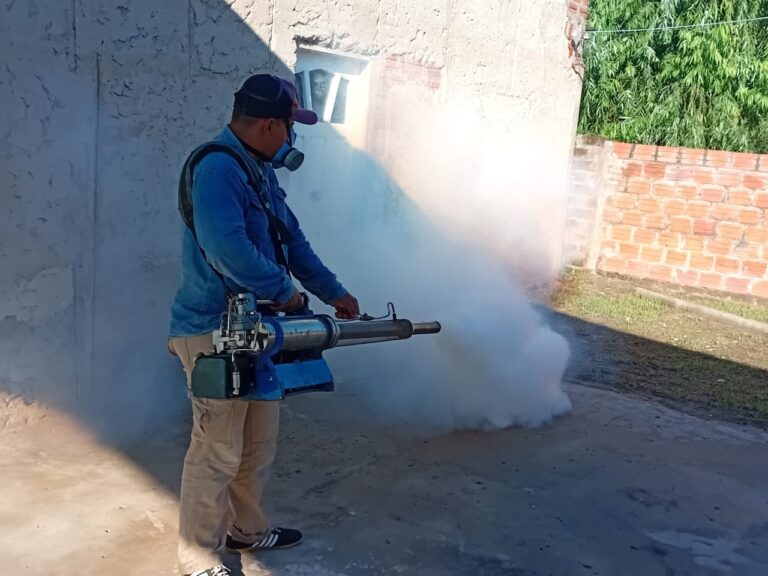 Se reportaron 23 nuevos casos de dengue y refuerzan el pedido de prevención ante las lluvias