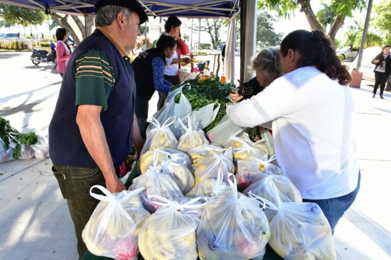 Sigue este martes la venta de bolsones saludables
