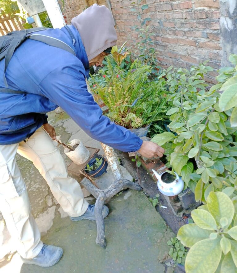 A pesar de las bajas temperaturas siguen los trabajos preventivos contra el dengue