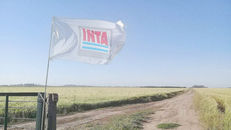 Preocupación en el INTA El Colorado por la reestructuración impulsada desde Nación