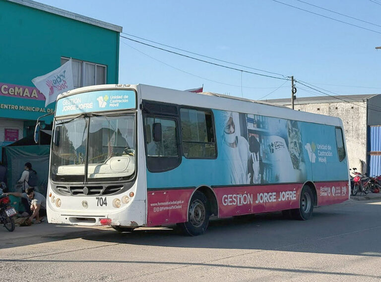 El Castramóvil municipal estará este lunes en el Lote 33