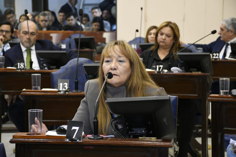 El UCR resiste en la Convención Constituyente: No podemos dejar en banda a la gente que nos votó
