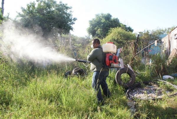 Dengue: informaron que la semana cerró sin mayores variaciones en el número de casos