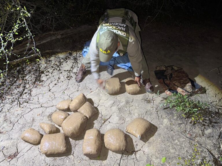 Gendarmería incauto más de 11 kilos de marihuana en Formosa