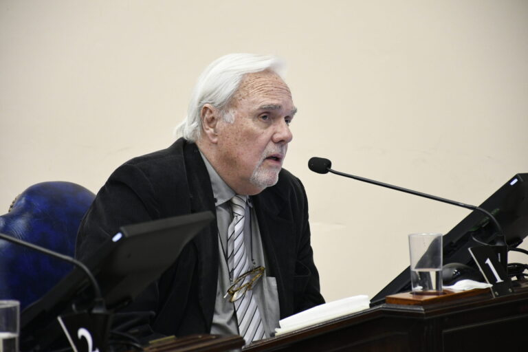 Para Evans, la Convención Constituyente de Formosa es una obra teatral sin guion y con un final anunciado