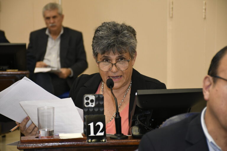 La Diputada Neme denunciará Penalmente a las autoridades de la Convención Constituyente por Incumplimiento de Deberes