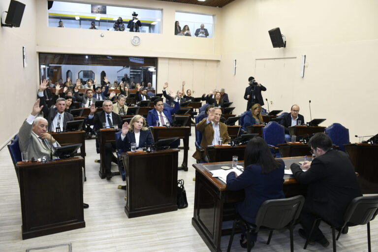 La Honorable Convención Constituyente aceptó las renuncias de 5 libertarios y excluyó a Paoltroni