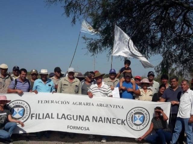 Productores bananeros de Formosa en crisis terminal: Se encamina a lo que pasó con el algodón