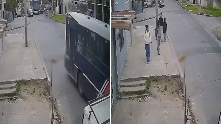 Un colectivo atropelló y mató a una perra en Lomas de Zamora: la empresa lo despidió