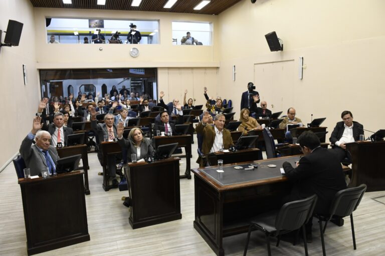 Justicia, ciencia y derechos de cuarta generación: las modificaciones e incorporaciones que suma la Constitución de Formosa