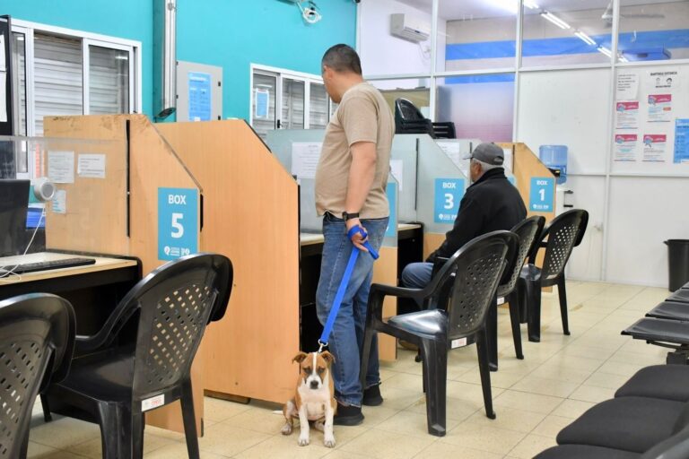 La comuna capitalina lanza un nuevo plan para ponerse al día con tributos municipales