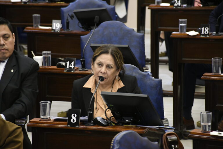 Lucy Aguayo destacó avance en el diálogo y consenso en la Convención Constituyente de Formosa