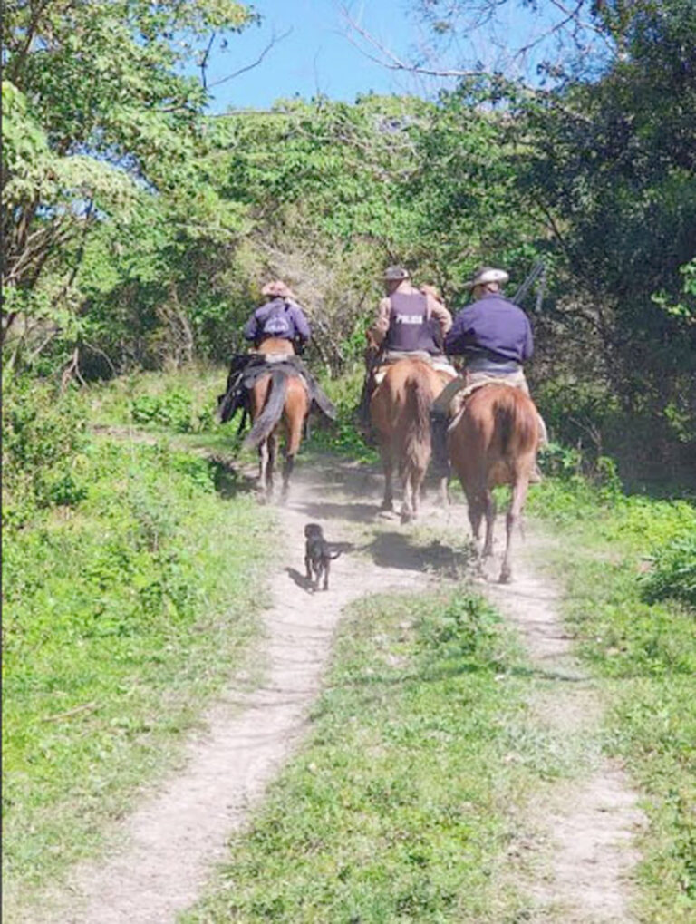 La UEAR se enfrentó a los tiros con cuatreros