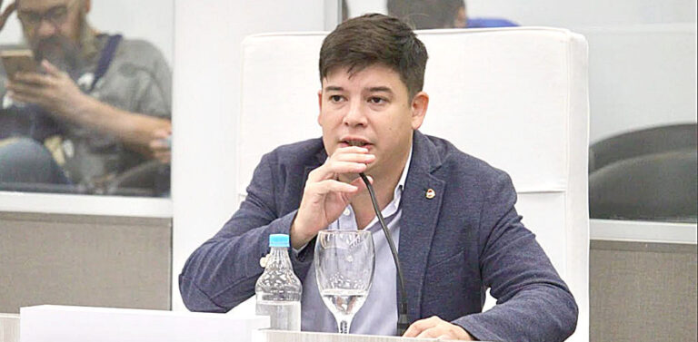 Casadei: Insfrán se describe a sí mismo al criticar a Milei