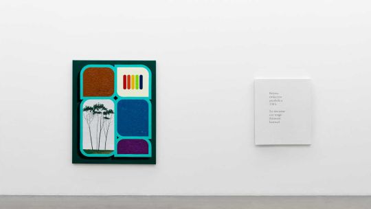 Flores, árboles, un poema de Pessoa, la lectura de Katchadjian y las obras de Siquier y Chiachio & Giannone