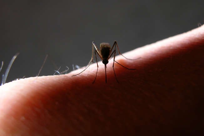 Qué vacunas debes ponerte antes de viajar al extranjero?