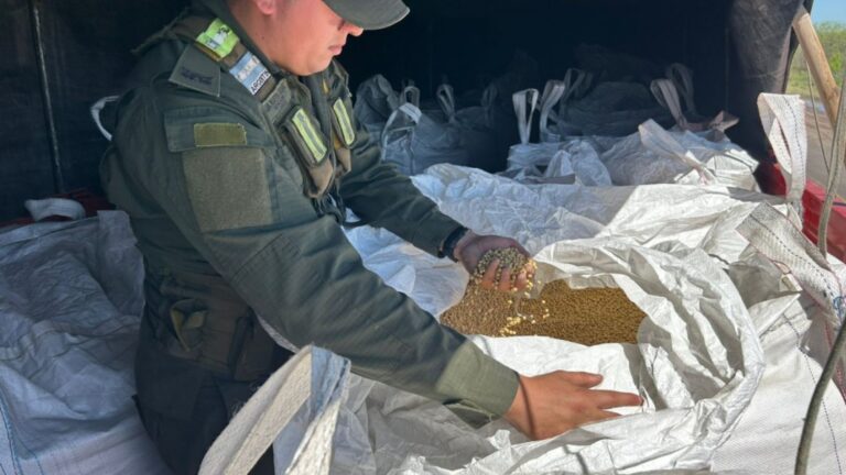 Gendarmería incautó en cuatro procedimientos 52 toneladas de granos de soja, 672 convertidores de TV y más de 25 kilos de hojas de coca