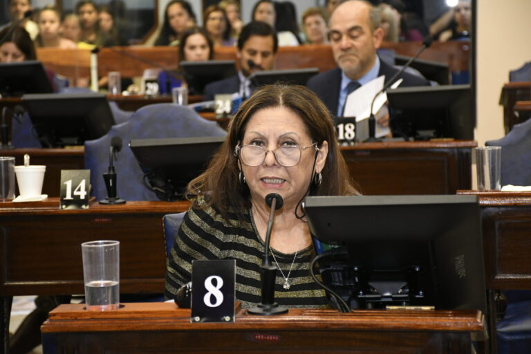 Alternancia en Formosa: para Lucy Aguayo a Insfrán no se le puede habilitar por un periodo más, porque este no es el primero, sino va a ser el noveno