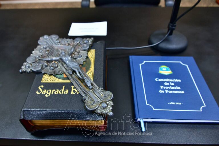 Ya se puede acceder de manera online a la nueva Constitución Provincial