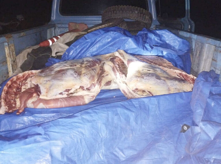 Mariano Boedo: secuestran productos cárnicos transportados sin la cadena de frío