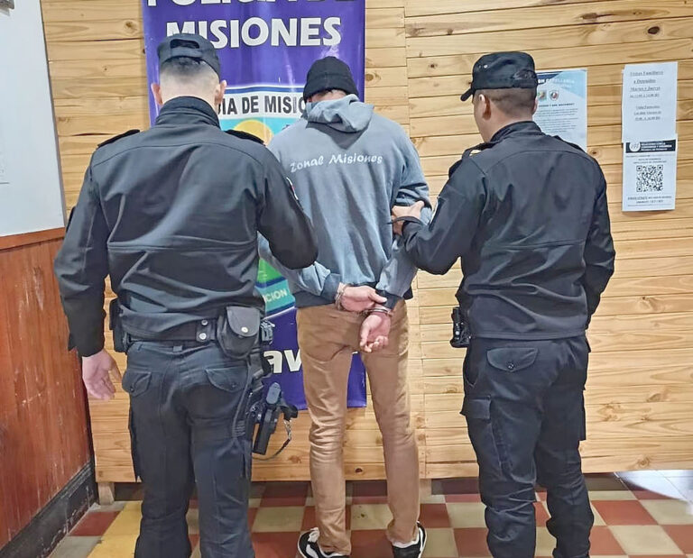 Saltó el muro de la casa de una mujer para robarle y mató al perro para que no ladrara