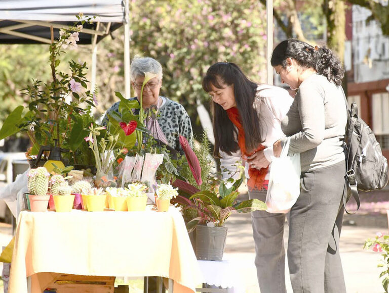 Comercialización de bolsones saludables en diversos puntos de la ciudad