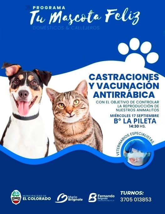 Programa Municipal Tu Mascota Feliz LLEGA ESTE MIÉRCOLES AL Barrio LA PILETA