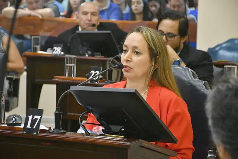 Un sector de la oposición desafía a la nueva Constitución: Jurar con salvedades o rechazar su legitimidad?