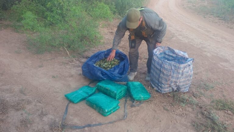 GNincauta 50 kilos de hojas de coca durante patrullajes por caminos secundarios del interior