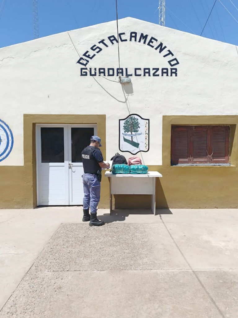 Secuestraron hojas de coca durante un control en ruta