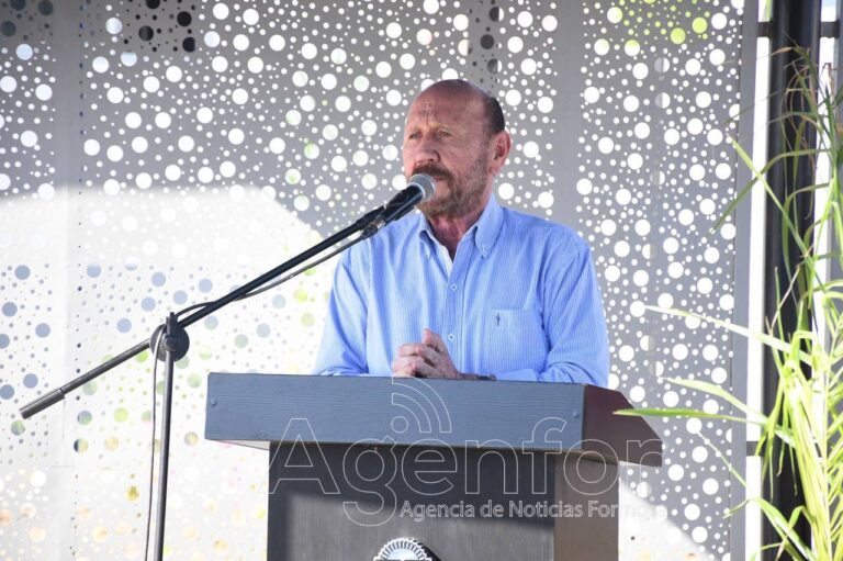 Insfrán: El 26 de octubre tenemos que meter la mayor cantidad de legisladores, porque no queremos ser colonia de nadie