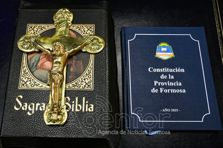 Destacan la importancia de enseñar la nueva Constitución Provincial a los jóvenes