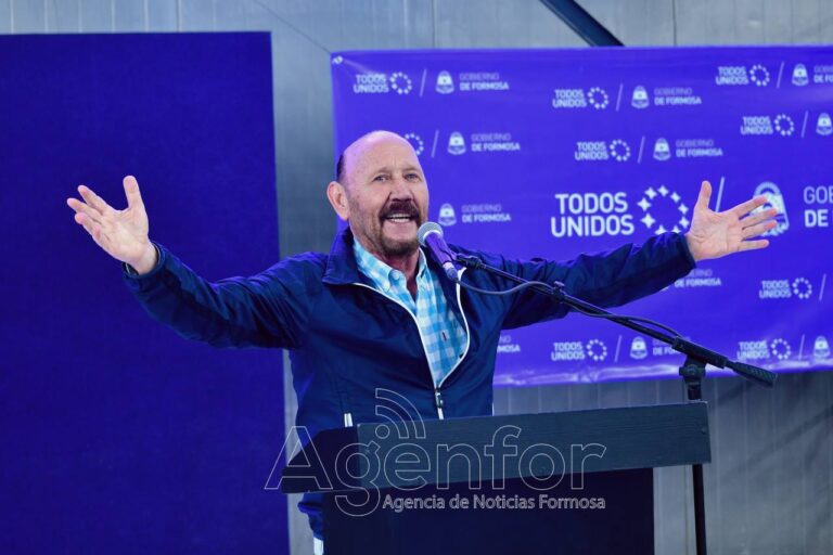 Insfrán: Tenemos el peor presidente de la historia en el momento más difícil del mundo