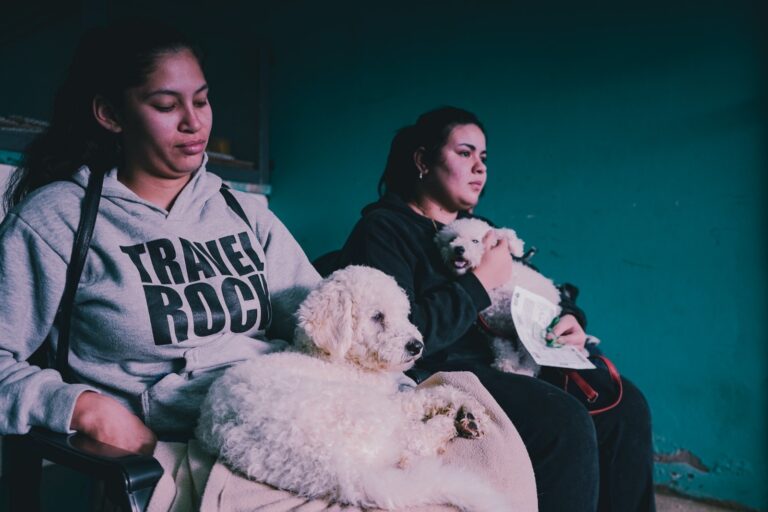 La Municipalidad participó por cuarto año consecutivo de la Jornada de Castración Masiva en América Latina